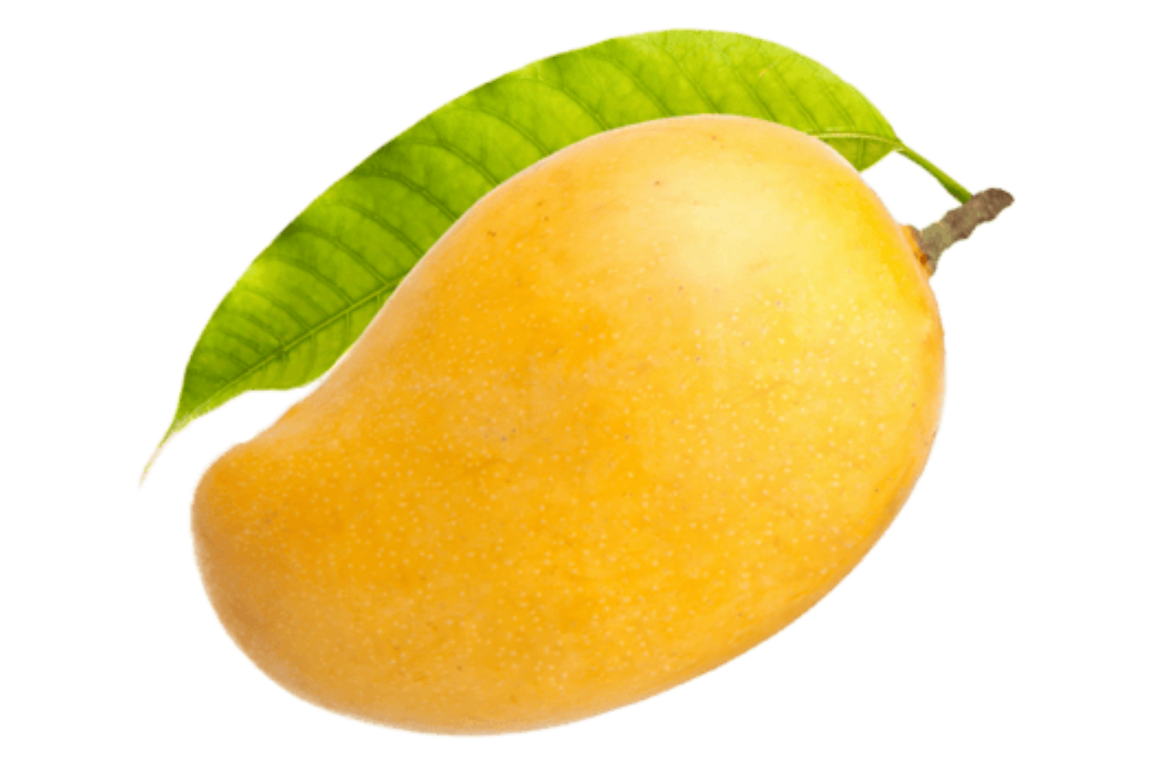 FRUITFULL MANGO 100ML